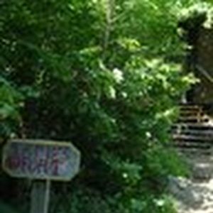 Meet your Posher, Roberta